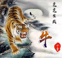 虎的图片霸气,霸气尽显王者风范