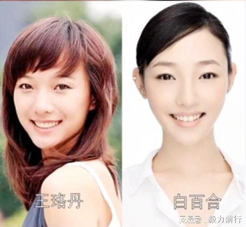 娱乐圈最像的明星,揭秘最像的明星之谜