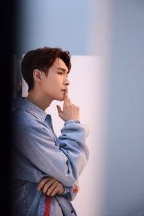 张艺兴明星学院,揭秘明星成长之路的摇篮